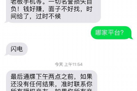 铜仁为什么选择专业追讨公司来处理您的债务纠纷？